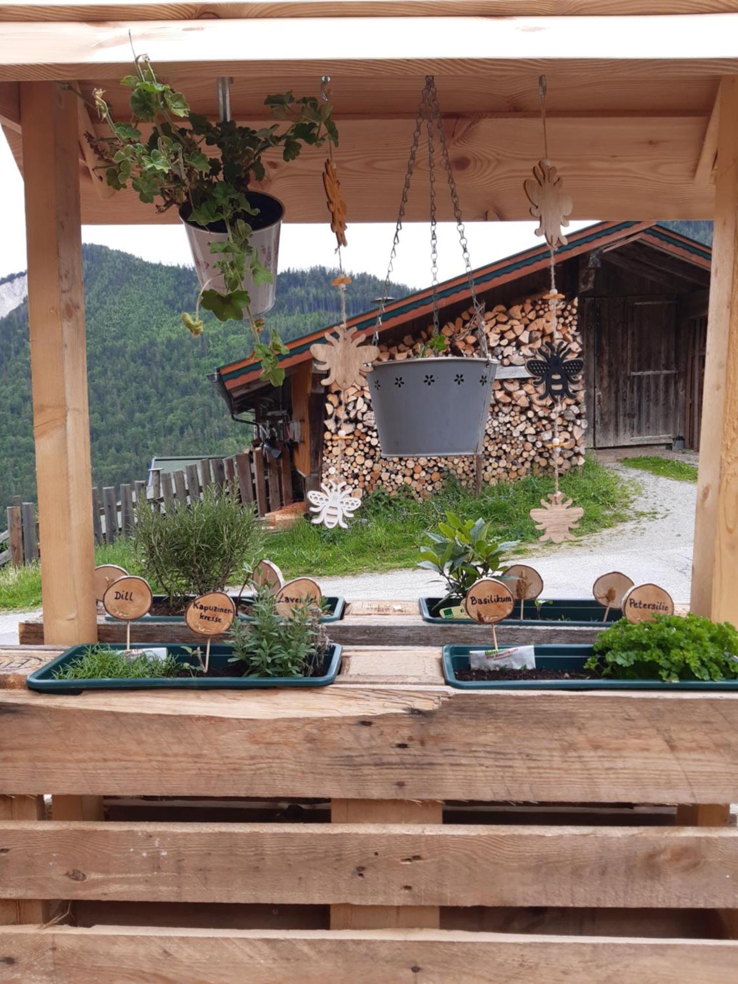 Ferienhaus Lechnerhof Schladming Exterior photo